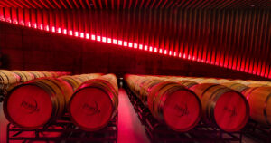 12MercadosIMEX.4.6_crm_s