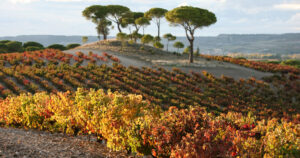 12MercadosIMEX.5.6_crm_s