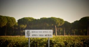 12MercadosIMEX.5_crm_s