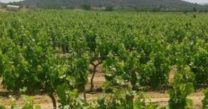 Guiaviajeronegocios.2.5_crm_s