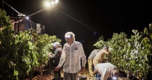 PenedesRutaVino.3.5_crm_s