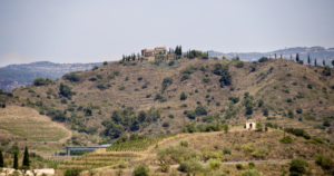 PrioratRutaVino.3.5_crm_s