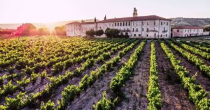 RiberadelDuero.3.3_crm_s