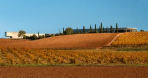 RuedaRutaVino.2.5_crm_s