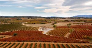 SomontanooJumilla.2_crm_s