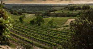 SomontanooJumilla.3.3_crm_s