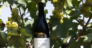 SomontanooJumilla.4.2_crm_s