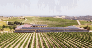 SomontanooJumilla.4_crm_s